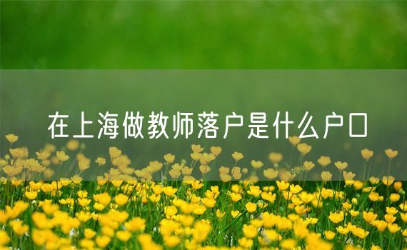 在上海做教师落户是什么户口