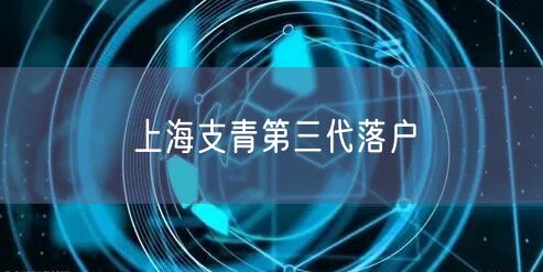 上海支青第三代落户