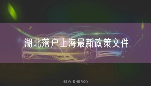 湖北落户上海最新政策文件