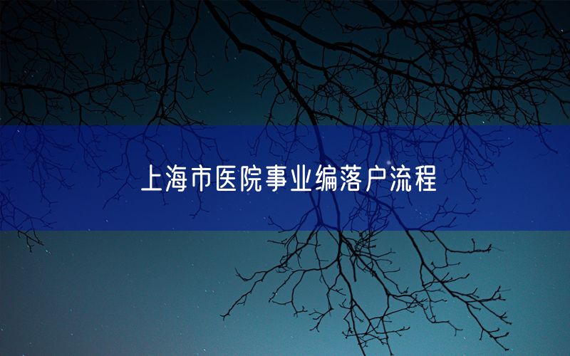 上海市医院事业编落户流程