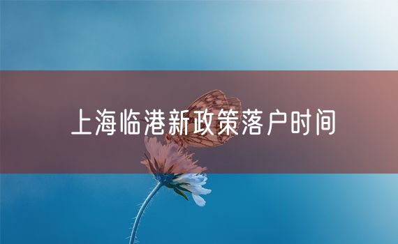 上海临港新政策落户时间