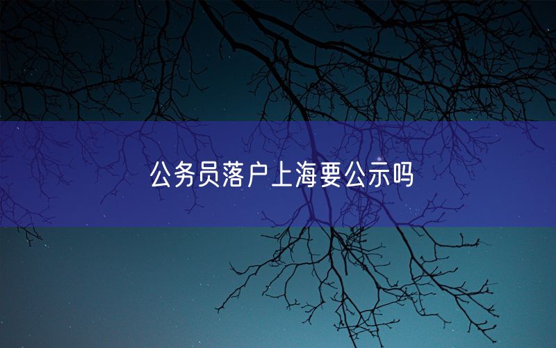 公务员落户上海要公示吗