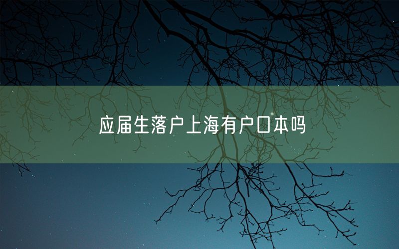 应届生落户上海有户口本吗