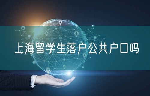 上海留学生落户公共户口吗