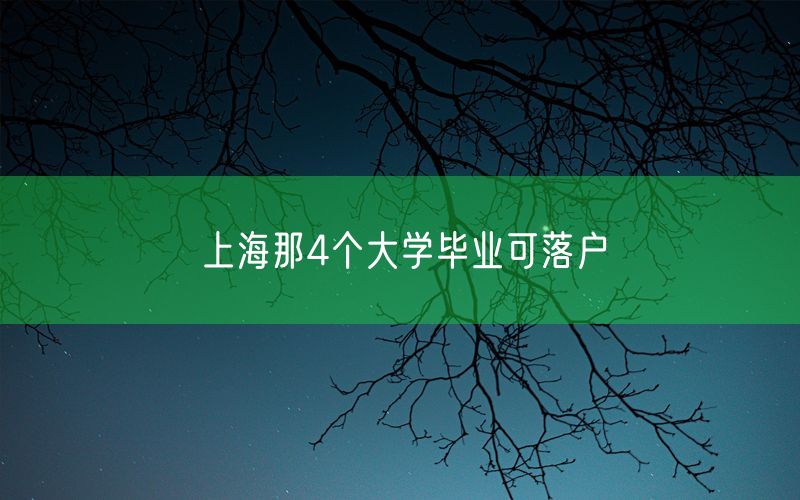 上海那4个大学毕业可落户