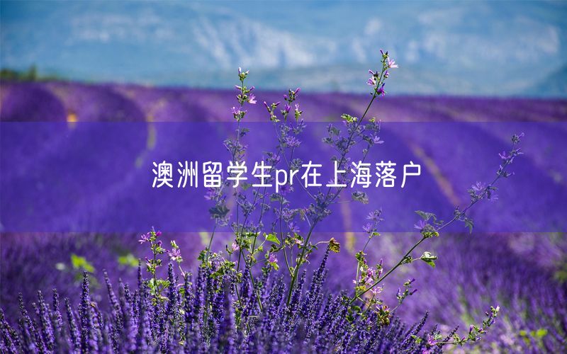 澳洲留学生pr在上海落户