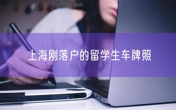 上海刚落户的留学生车牌照