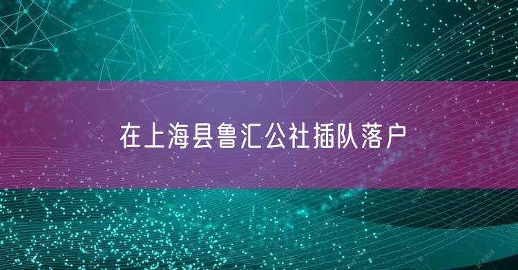 在上海县鲁汇公社插队落户