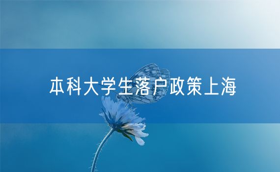 本科大学生落户政策上海