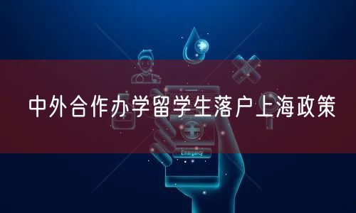 中外合作办学留学生落户上海政策