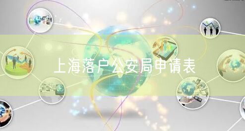 上海落户公安局申请表