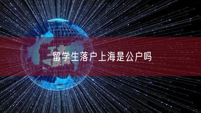 留学生落户上海是公户吗