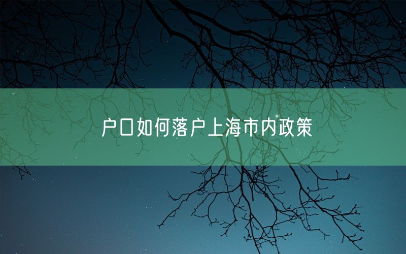 户口如何落户上海市内政策