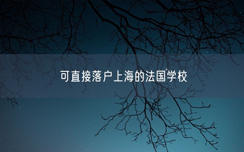 可直接落户上海的法国学校