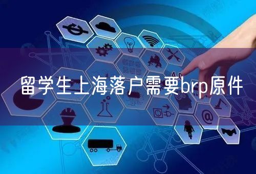 留学生上海落户需要brp原件