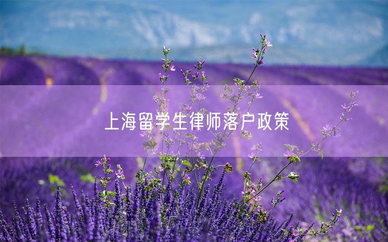 上海留学生律师落户政策