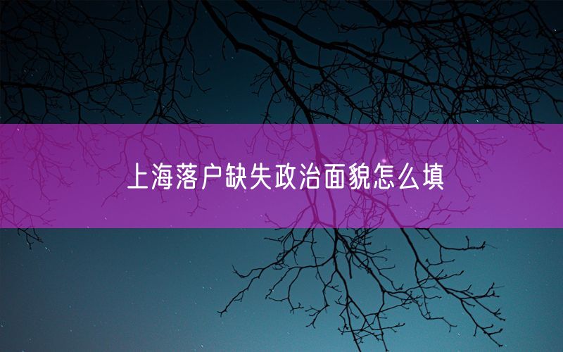 上海落户缺失政治面貌怎么填