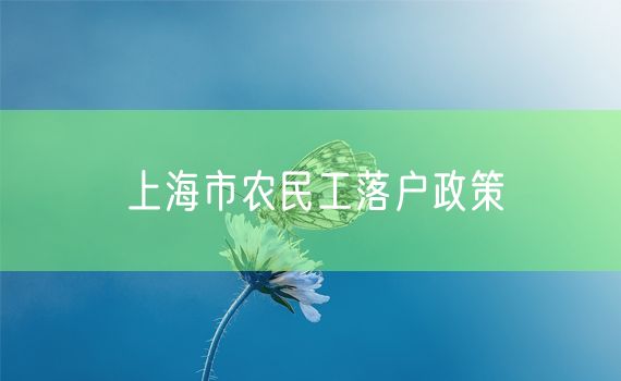 上海市农民工落户政策