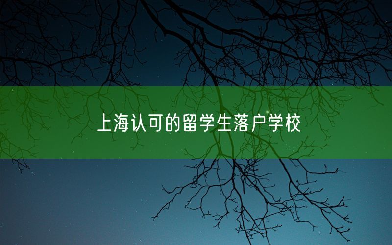 上海认可的留学生落户学校