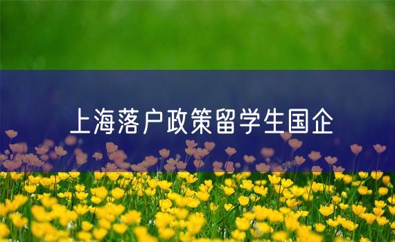 上海落户政策留学生国企