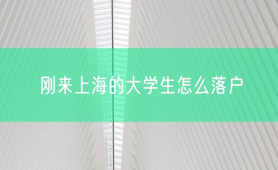 刚来上海的大学生怎么落户