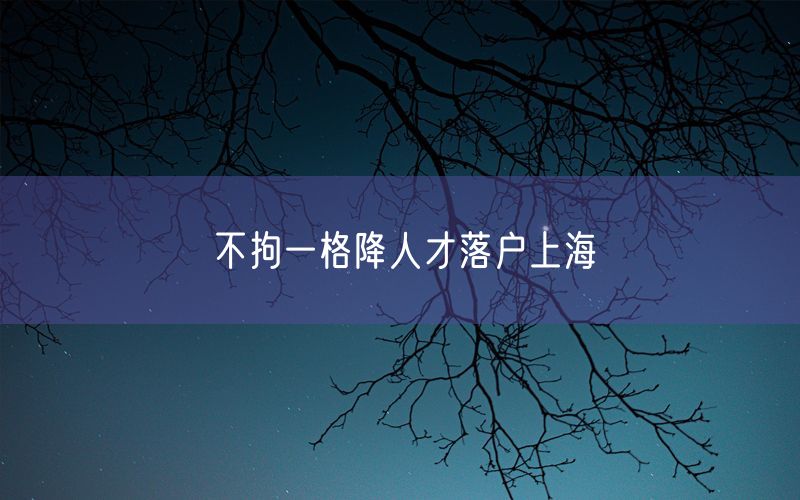 不拘一格降人才落户上海