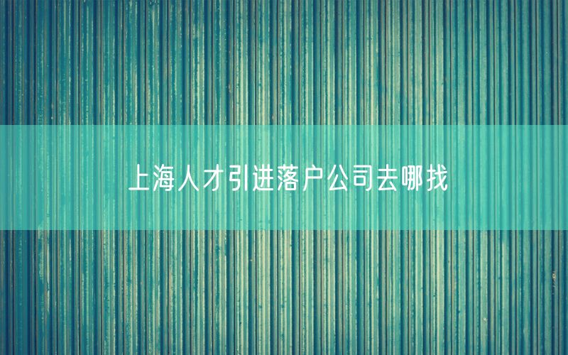 上海人才引进落户公司去哪找