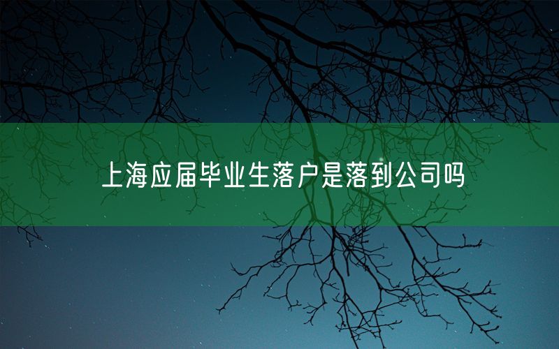 上海应届毕业生落户是落到公司吗