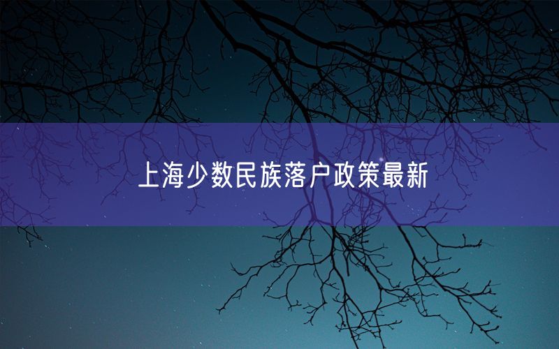 上海少数民族落户政策最新