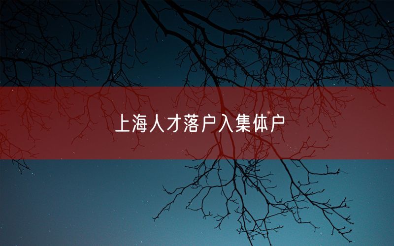 上海人才落户入集体户