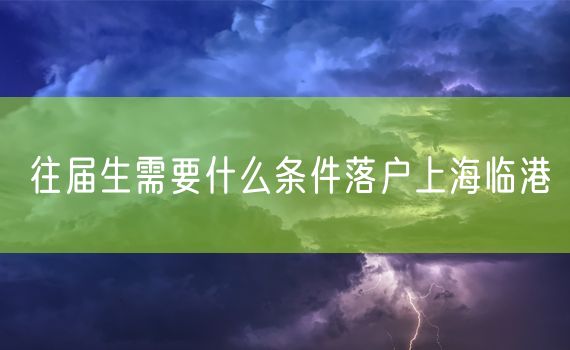 往届生需要什么条件落户上海临港