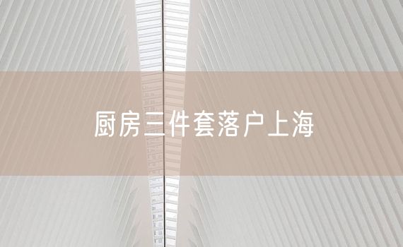 厨房三件套落户上海