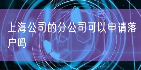 上海公司的分公司可以申请落户吗