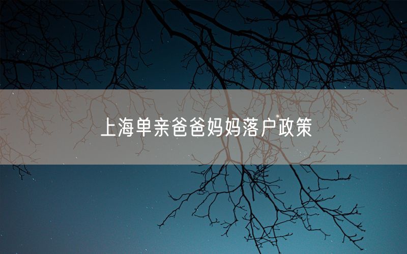 上海单亲爸爸妈妈落户政策