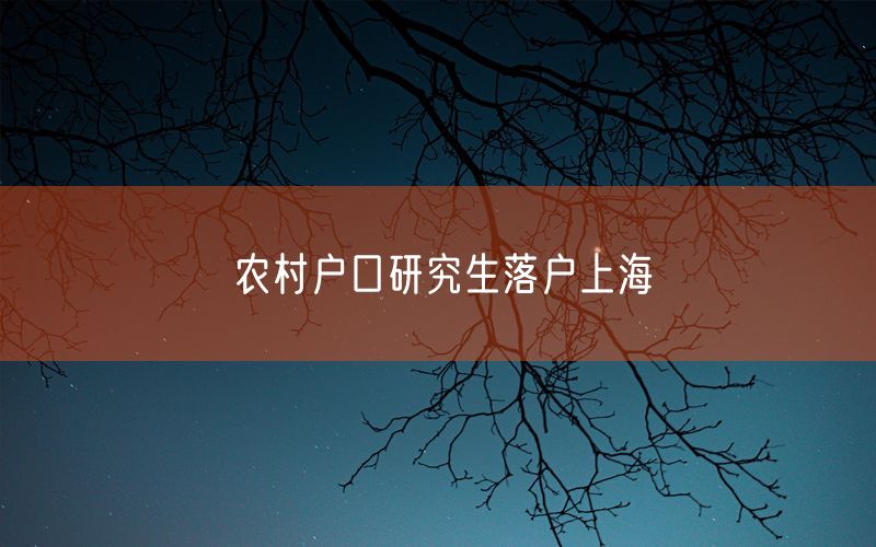 农村户口研究生落户上海