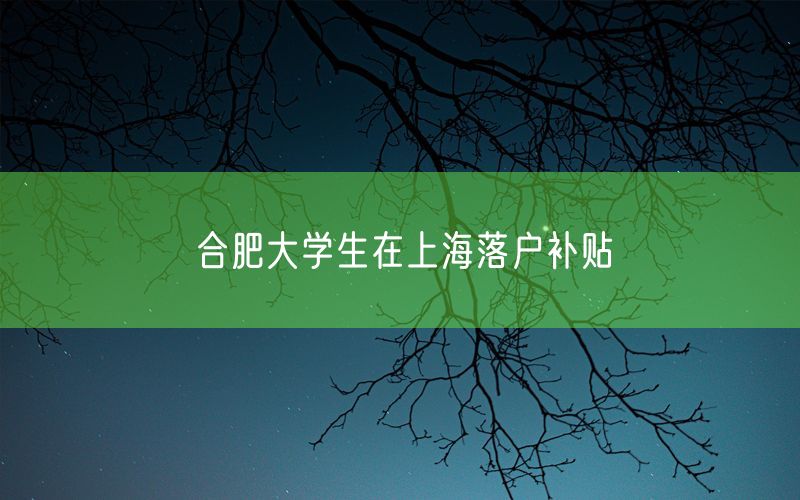 合肥大学生在上海落户补贴