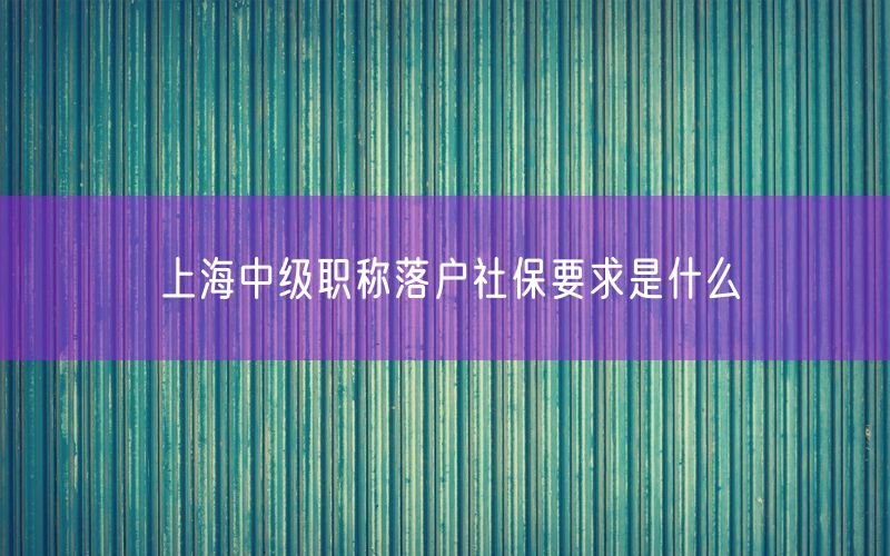 上海中级职称落户社保要求是什么