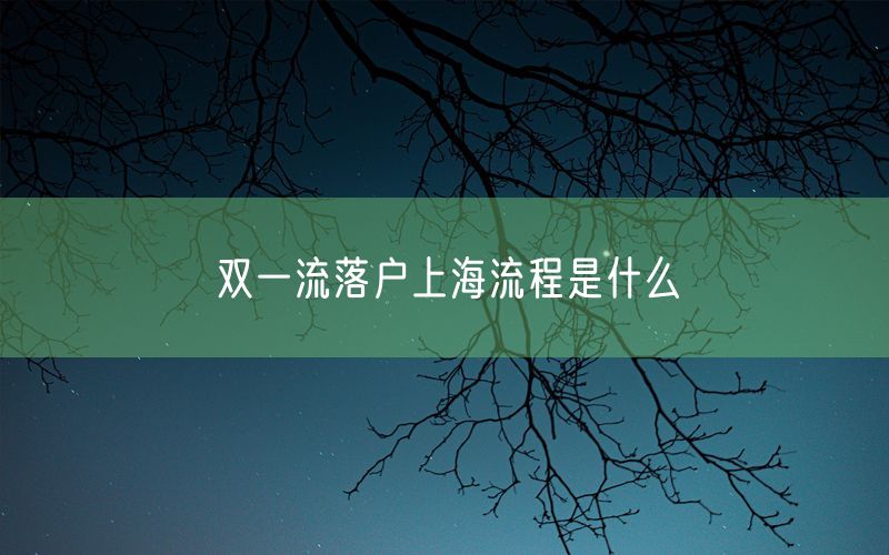 双一流落户上海流程是什么