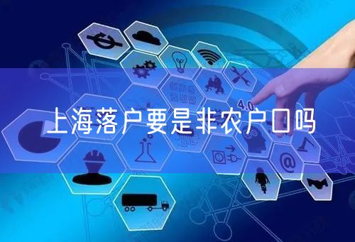 上海落户要是非农户口吗