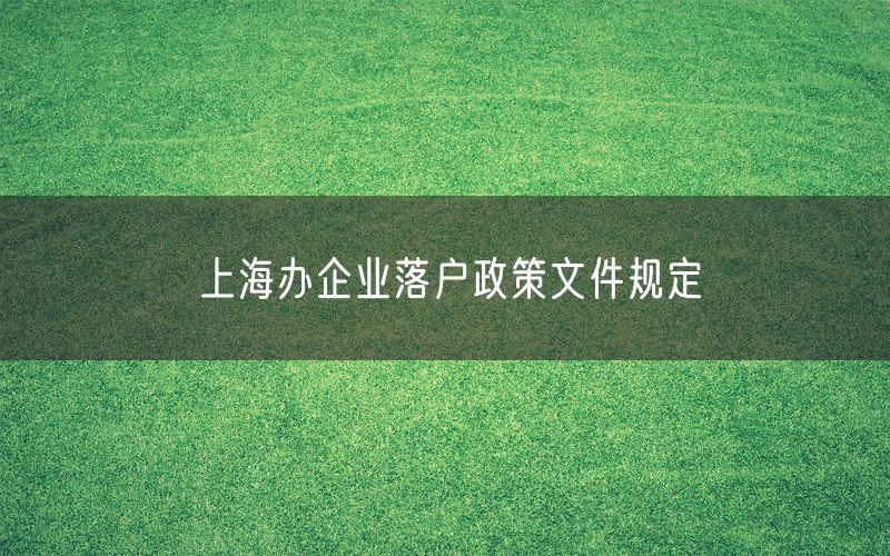 上海办企业落户政策文件规定