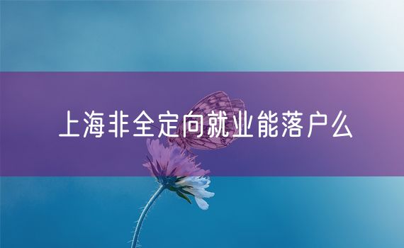 上海非全定向就业能落户么