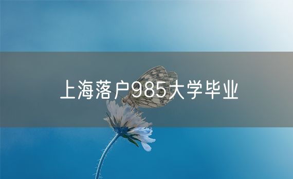 上海落户985大学毕业