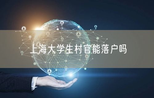 上海大学生村官能落户吗