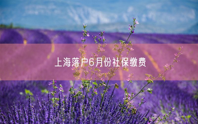 上海落户6月份社保缴费