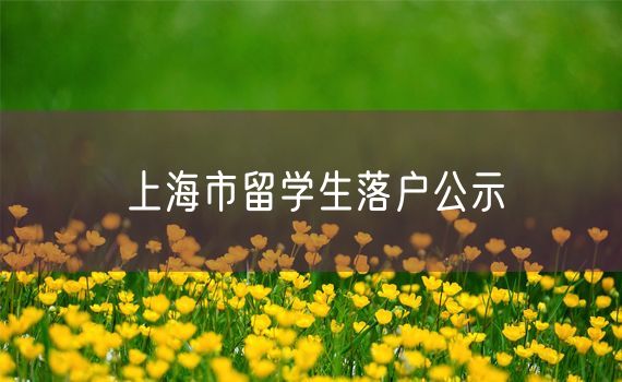 上海市留学生落户公示