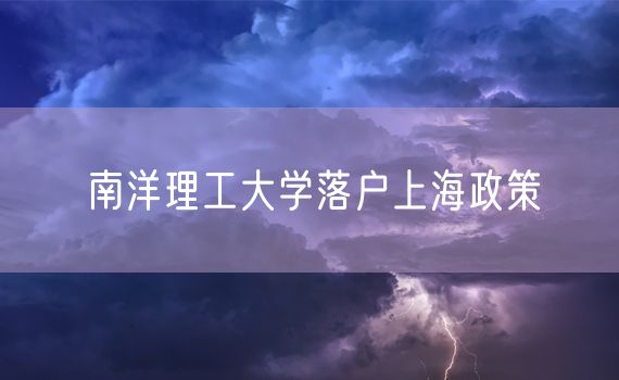 南洋理工大学落户上海政策