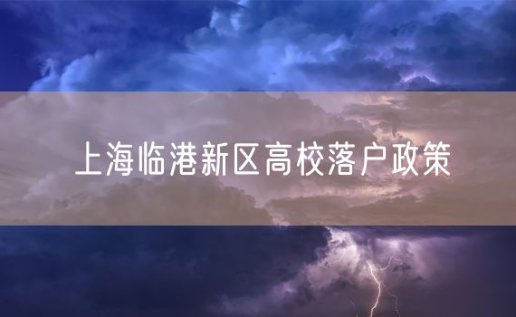 上海临港新区高校落户政策