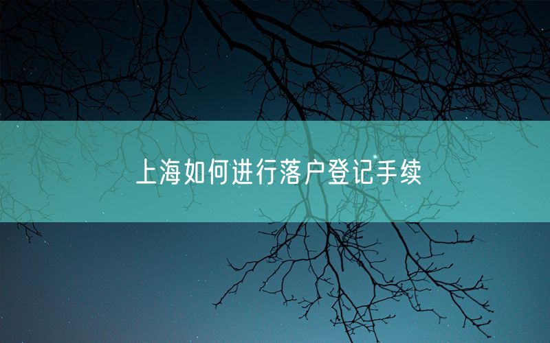 上海如何进行落户登记手续