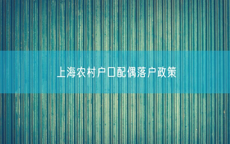 上海农村户口配偶落户政策