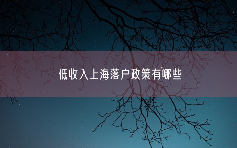 低收入上海落户政策有哪些